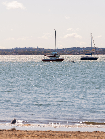 日本乱码中文在线观看