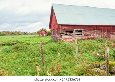 日本动漫动漫hd大全